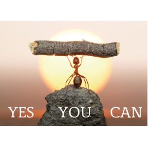 Ansichtkaart Yes you can