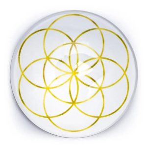 Magneet Seed of Life