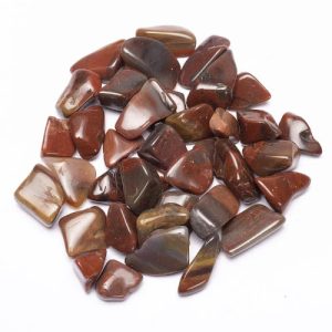 Versteend Hout Trommelsteen