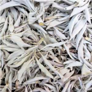 Witte Salie Cluster 25 gram