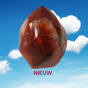03 Nieuw