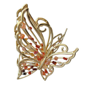 Haarklem Carneool Goud
