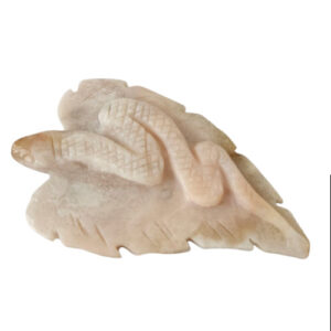 Roze Opaliet Slang op Blad