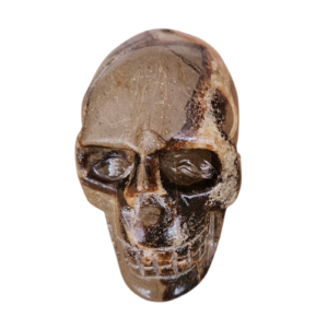 Septarie Skull