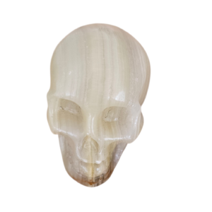Lucky Jade Skull